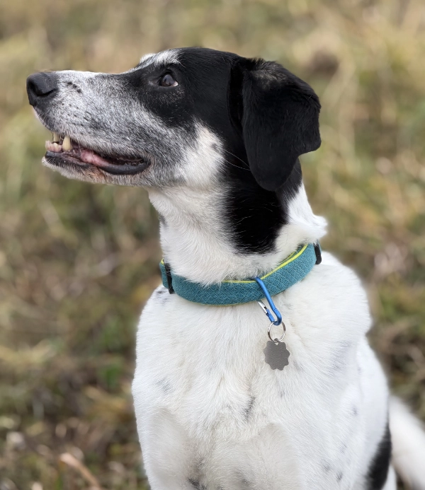 Vlna - spí známka | Vryto.cz – Gravírování na míru