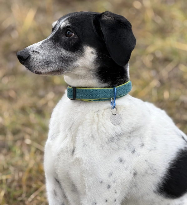 Kruh - spí známka | Vryto.cz – Gravírování na míru