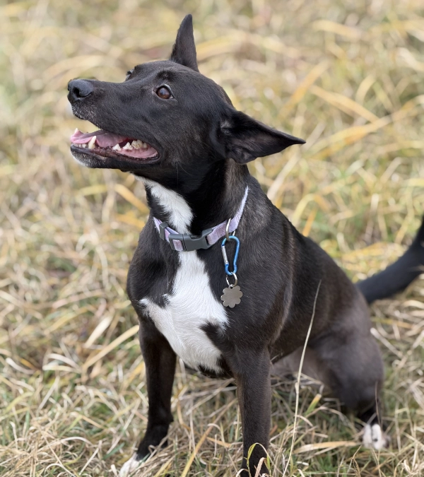 Vlna - spí známka | Vryto.cz – Gravírování na míru